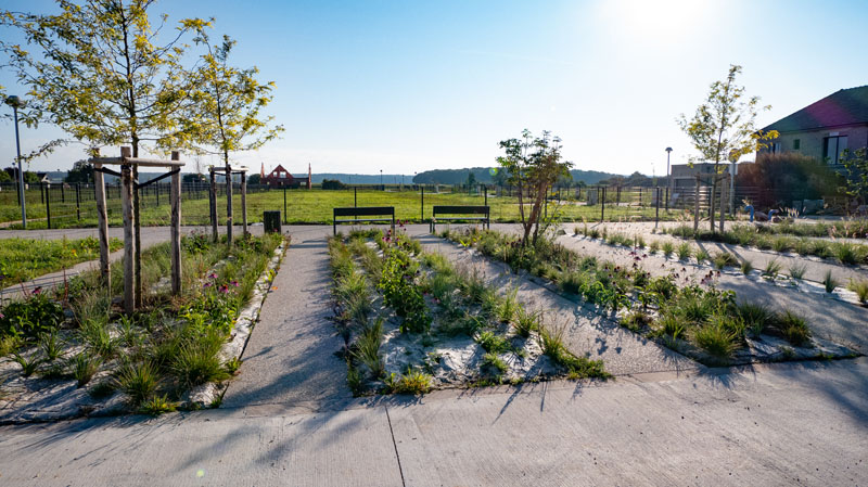 Jardinier paysagiste Rouen