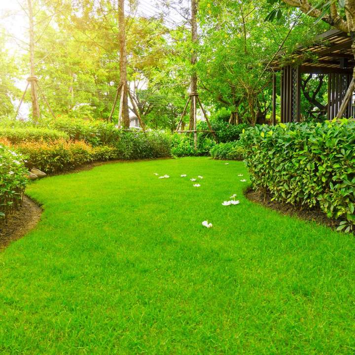 Des pelouses parfaites, naturellement !