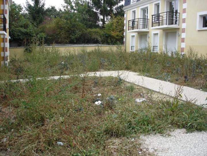Service d’entretien de jardin Évreux